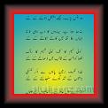 Ghazal Wafa 01 * 22.03.2008 * 399 x 741 * (36KB)